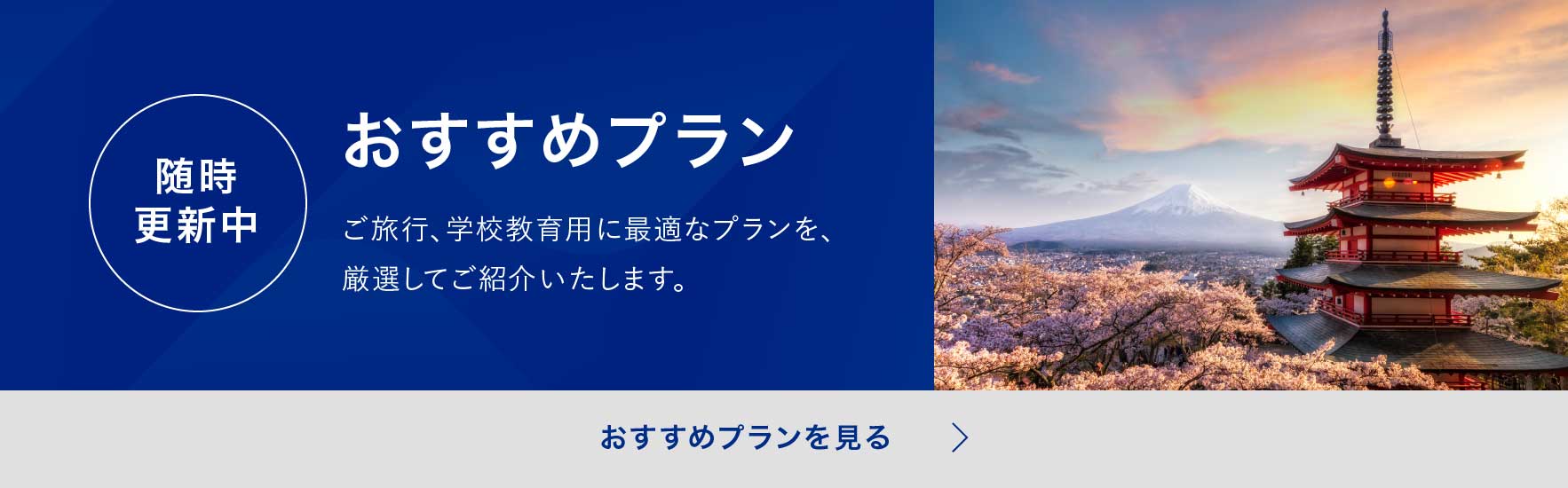 おすすめプランを見る